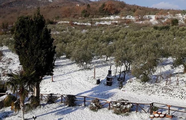 Borgo del Senatore - Foto 36