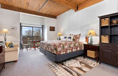 Mountain Inn Studio 94 with Wintergreen Advantage - Foto 1