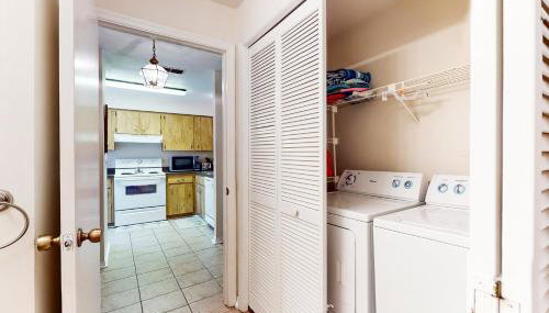 Port Orange Palm Tree Reverie - Foto 3