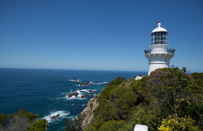 NRMA Myall Shores Holiday Park - Foto 57