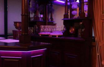 Dwór nad Bugiem w Kamieńczyku - 45 min od Warszawy - Foto 33