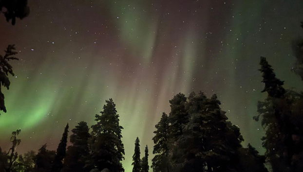 Tervakko - Foto 4, Inside other