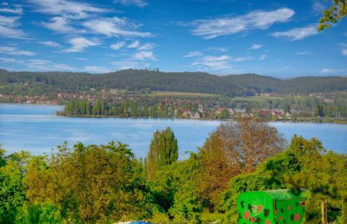 Ferienhaus Bodensee Seeblick - Foto 4