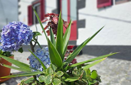 Ocean View - Nordeste - Photo 17