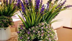 La perla sul Tirreno - Foto 5