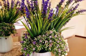 La perla sul Tirreno - Foto 5