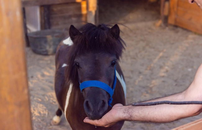Agriturismo Sant'Andrea - Foto 28