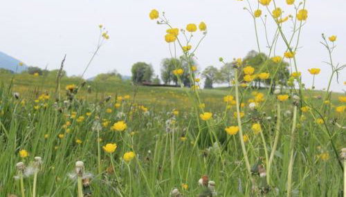 Melf 3 Comfortable holiday residence - Foto 4, Other