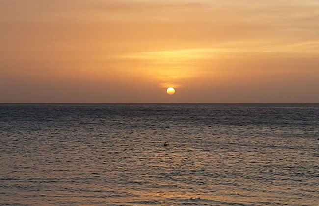 Sasaki Apartments - Foto 62