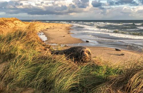 Starboard Cottage - Foto 35