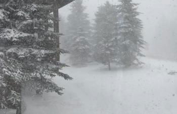 4 BR: Timbers #1 Stand alone Cabin - Foto 24