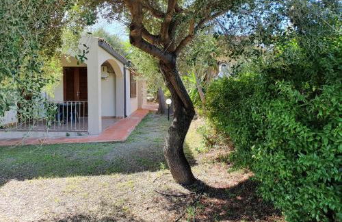 La Casa di Spinosella - Foto 32