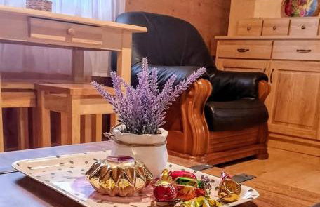 Siedlisko Sielska Dolina Nad Stawem luksusowy domek całoroczny z klimatyzacją - Foto 24