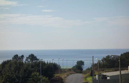 Camino de Rosa's - Foto 11