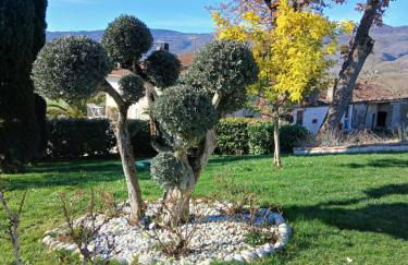 Borgo degli Ulivi - Foto 6