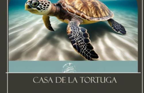 Casa de La Tortuga - Photo 36