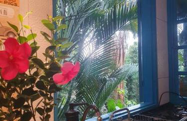 Casa Ilhabela a cinco minutos do centro - Foto 14