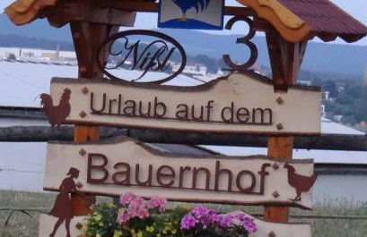 Bauernhof Nißl - Foto 46