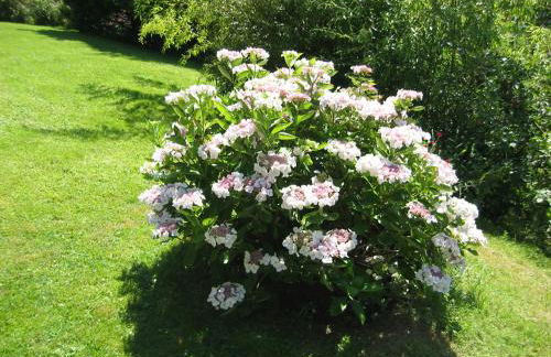 Haus Fernblick - Foto 19