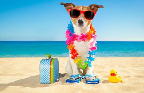 O loft des Croisiens - Foto 23