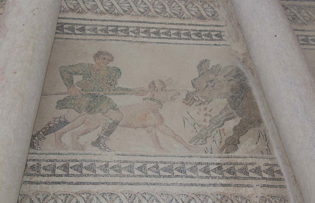 Roman Villa of Salar Day Trip - Foto 6