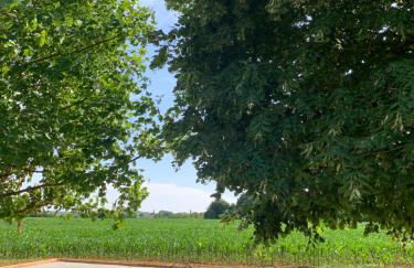 Superbe Maison au coeur du Perche - Foto 18