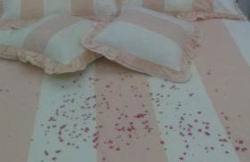 Apartamento Parque das Palmeiras - Foto 39