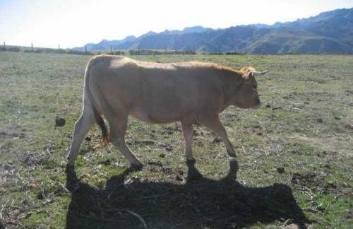 Apartamentos Valdecarzana Senda del Oso - Foto 17