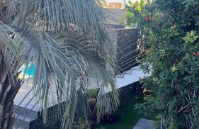 Jardín Secreto de Tabaiba - Foto 31