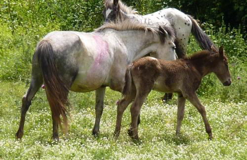 Agriturismo San Lorenzo - Foto 40