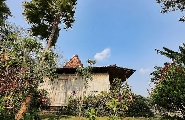 The Sanyas Retreat - Foto 53