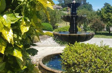 O Eido de Celia - Foto 7