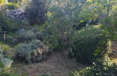 House Radojka - Foto 31