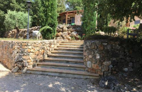 Domaine GEODORA, Parfumeur en Provence - Photo 6