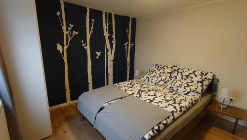 Haus Schnettler mit Sauna - Foto 3