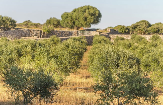 Binissaida Boutique Hotel - Foto 73