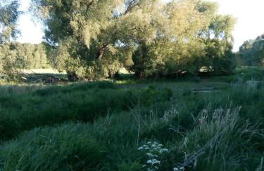 Eden 1 Zimmer Appartment - Foto 10