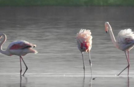 Casa Marana - Foto 45