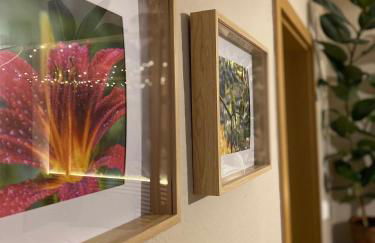 K2-Project - Dschungel-Abenteuer - Foto 7