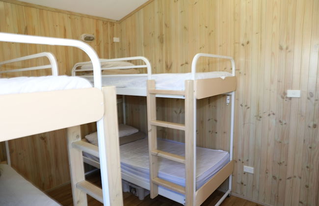 Bulli Beach Tourist Park - Photo 7