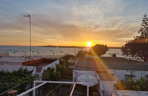 DULCE CARMEN - Photo 47