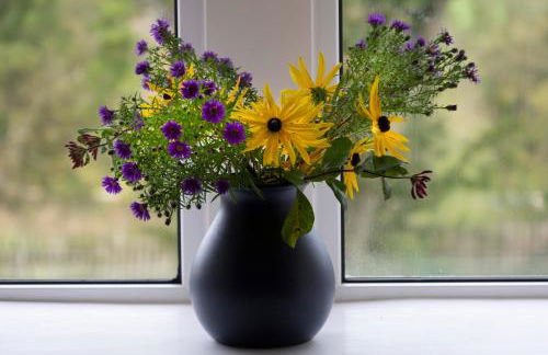 Martinshouse Holiday Cottage, Hawick, Borders - Foto 6