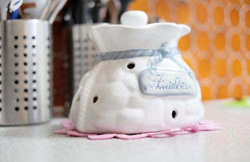 Pension zum Europapark- Kaiserstuhl - Foto 14