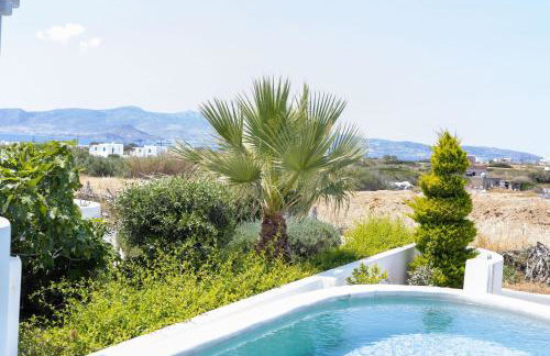 Argana Naxos private villa with pool and garden - Foto 22