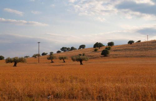 Kilada Country House - Photo 20