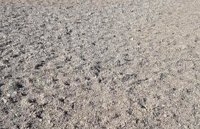 Holiday House Fantasy With Pool - Foto 47