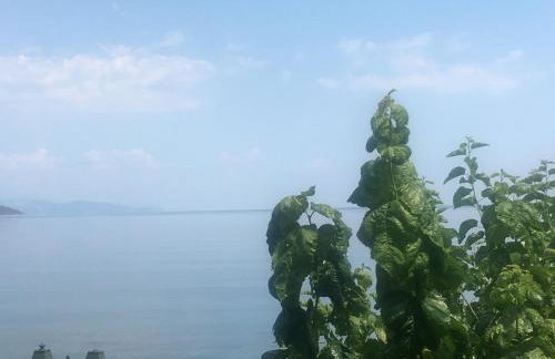 Sea Sound - Photo 16