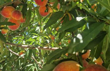 Nina's house 5 a 300 mt dal mare - Foto 39