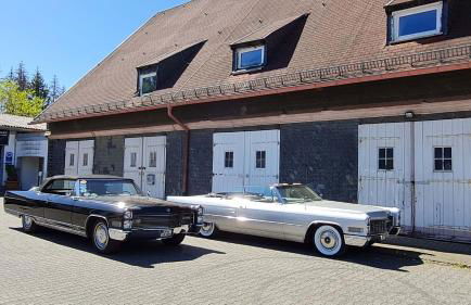 Ferienwohnung Ollywood, Natur pur im Westerwald, 2 bis 4 Personen - Foto 23