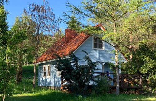 Święty Spokój Łąka i Woda - Foto 78